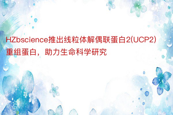 HZbscience推出线粒体解偶联蛋白2(UCP2)重组蛋白，助力生命科学研究